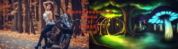 каннабис Арсеньев