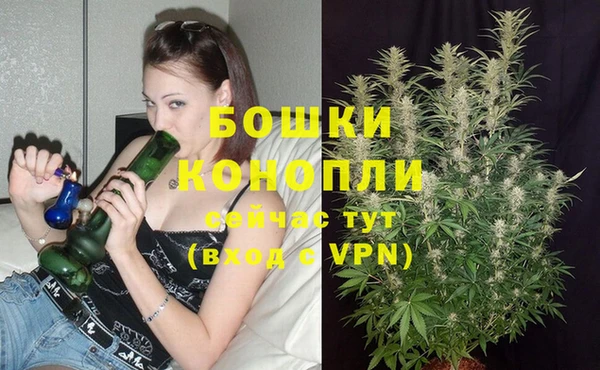 каннабис Арсеньев