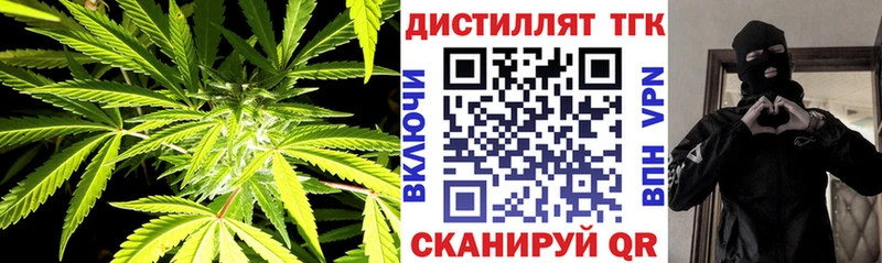 Дистиллят ТГК концентрат Россошь